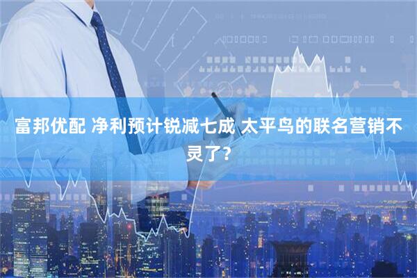 富邦优配 净利预计锐减七成 太平鸟的联名营销不灵了？