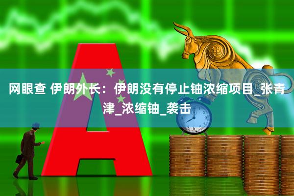 网眼查 伊朗外长：伊朗没有停止铀浓缩项目_张青津_浓缩铀_袭击